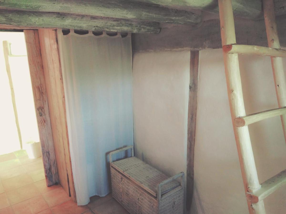 La Cabane En Bois Villemur-sur-Tarn Bagian luar foto