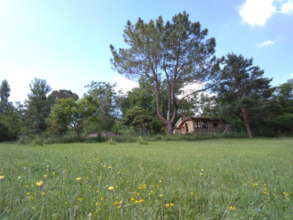 La Cabane En Bois Villemur-sur-Tarn Bagian luar foto