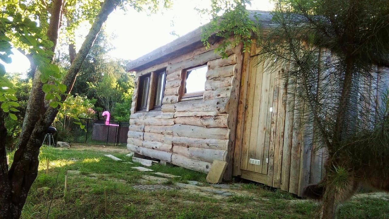 La Cabane En Bois Villemur-sur-Tarn Bagian luar foto