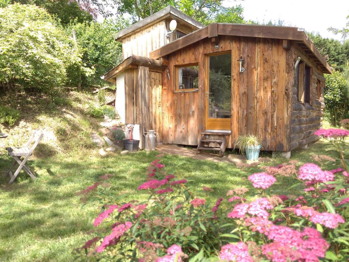 La Cabane En Bois Villemur-sur-Tarn Bagian luar foto