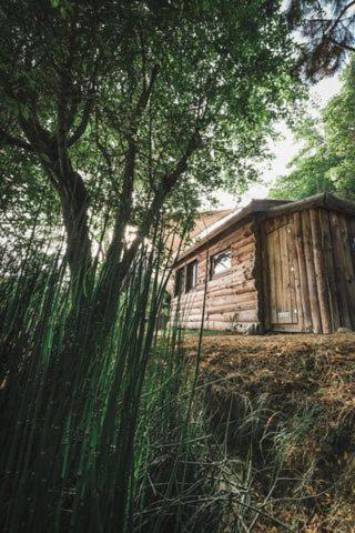 La Cabane En Bois Villemur-sur-Tarn Bagian luar foto
